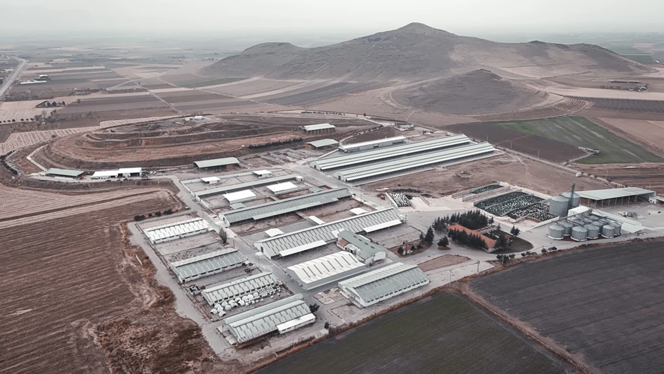 Saray Çiftliği’nde Doğal Üretim Anlayışı ve Kalite Standartları