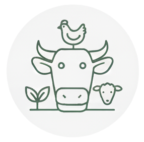 Süt Hayvancılığı